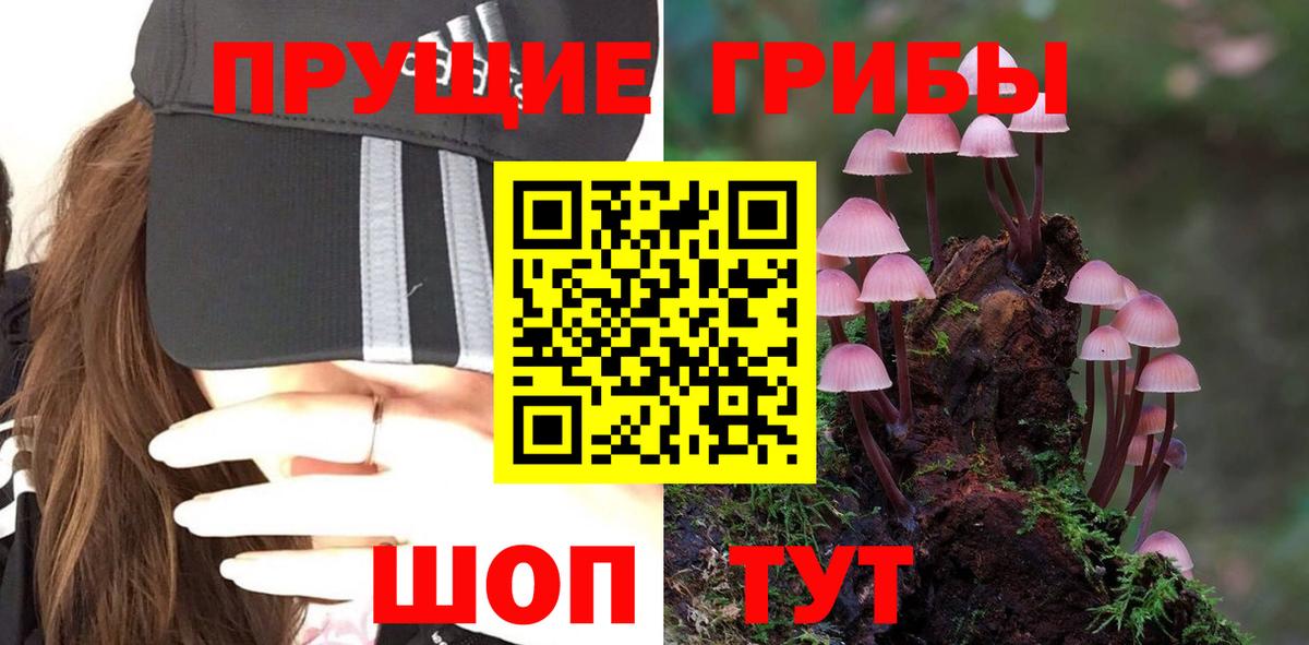 Галлюциногенные грибы Cubensis  Вход с VPN  закладка  Белебей 